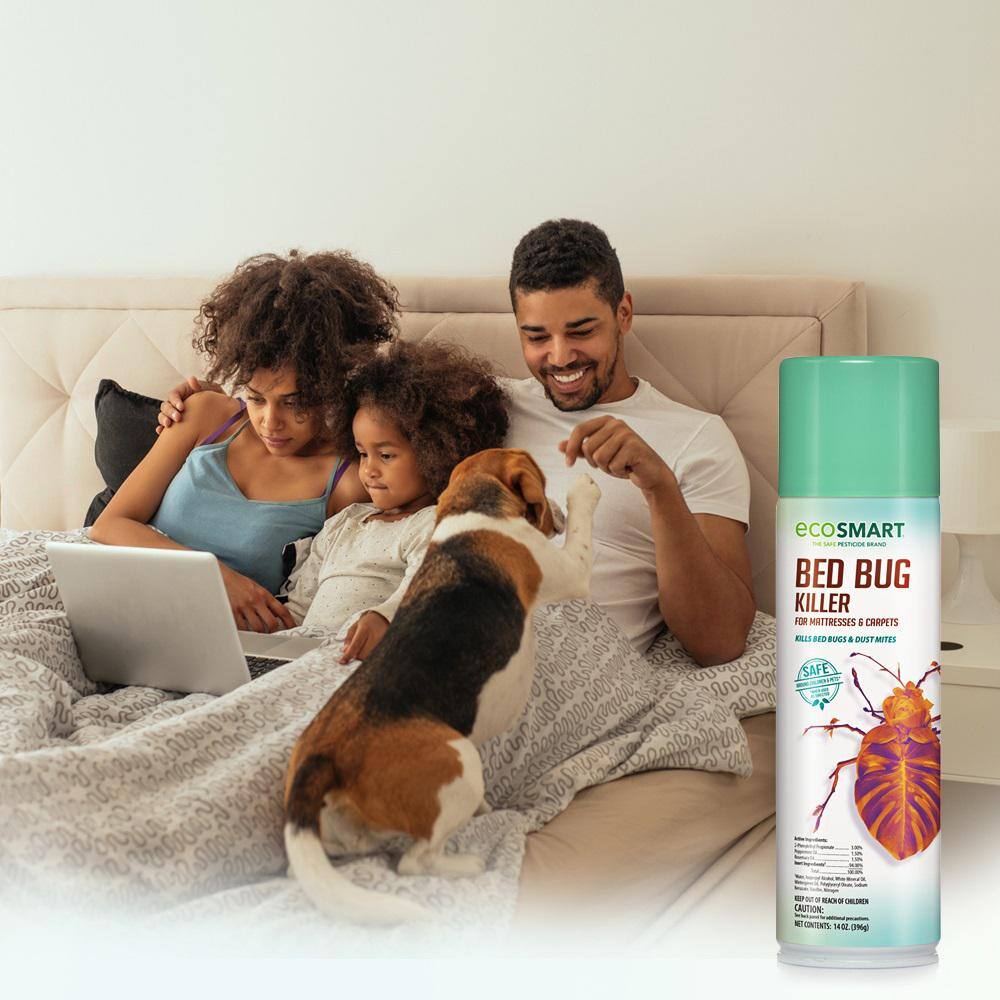 14 oz. Natural Bed Bug Killer with Plant-Based Peppermint and Rosemary Oil, Aerosol Spray Can (2-Pack) - Hercitys