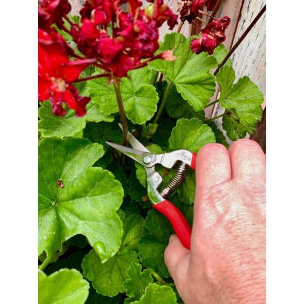 1.75 in. Stainless Steel Long Straight Snips - Hercitys