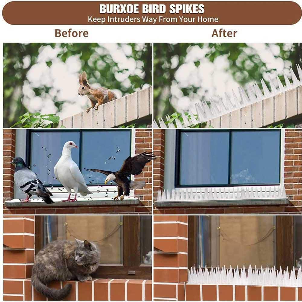 16.9 White Plastic Keeps a Pigeon Away Off Deterrent Plastic Fence Spikes Anti Cat Bird Spikes Strips Bird Repeller - Hercitys