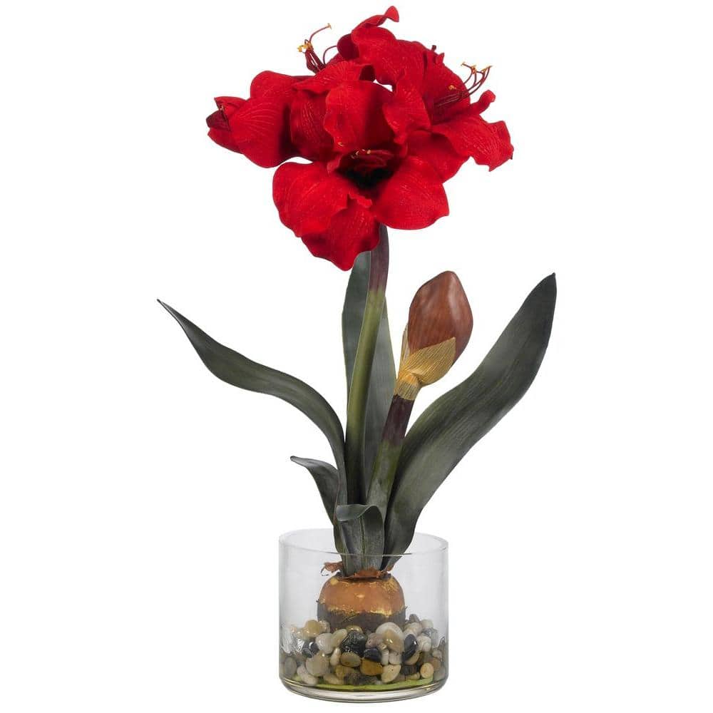 20in. Amaryllis with Vase - Hercitys