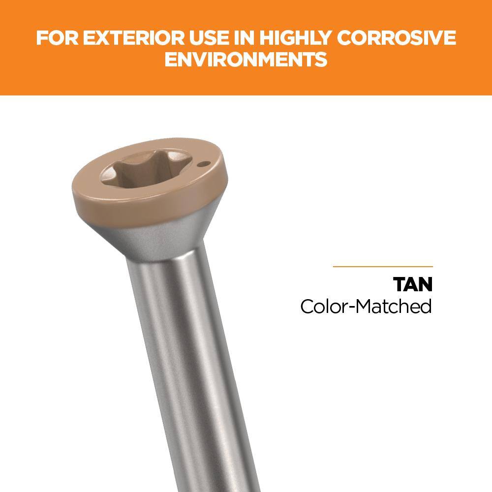 1-5/8 in. #8 316 Stainless Steel Tan Premium Star Drive Trim Screws (350-Count) - Hercitys