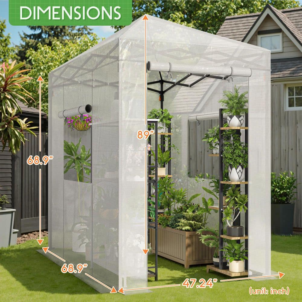 4 ft. W x 6 ft. D Collapsible Metal Walk-In Greenhouse, White - Hercitys