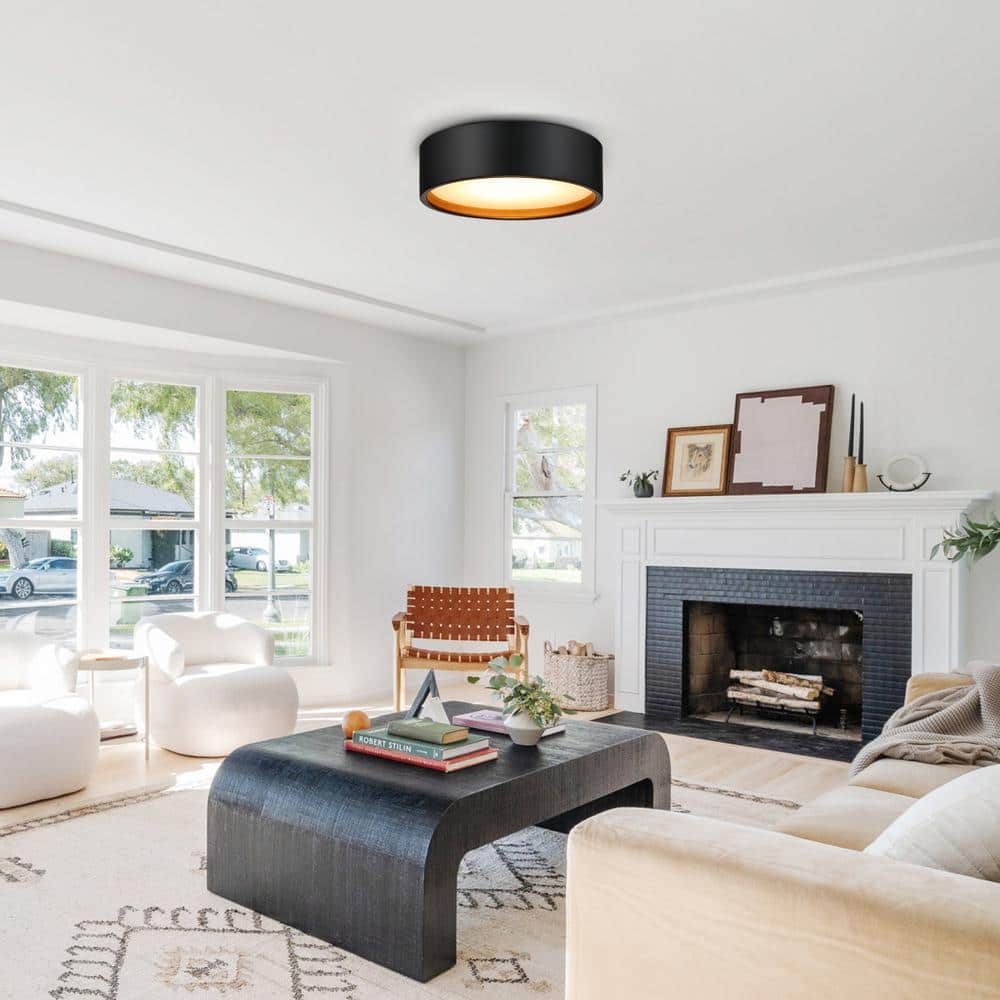 14 in. LED Modern Black Dimmable Flush Mount Ceiling Light - Hercitys