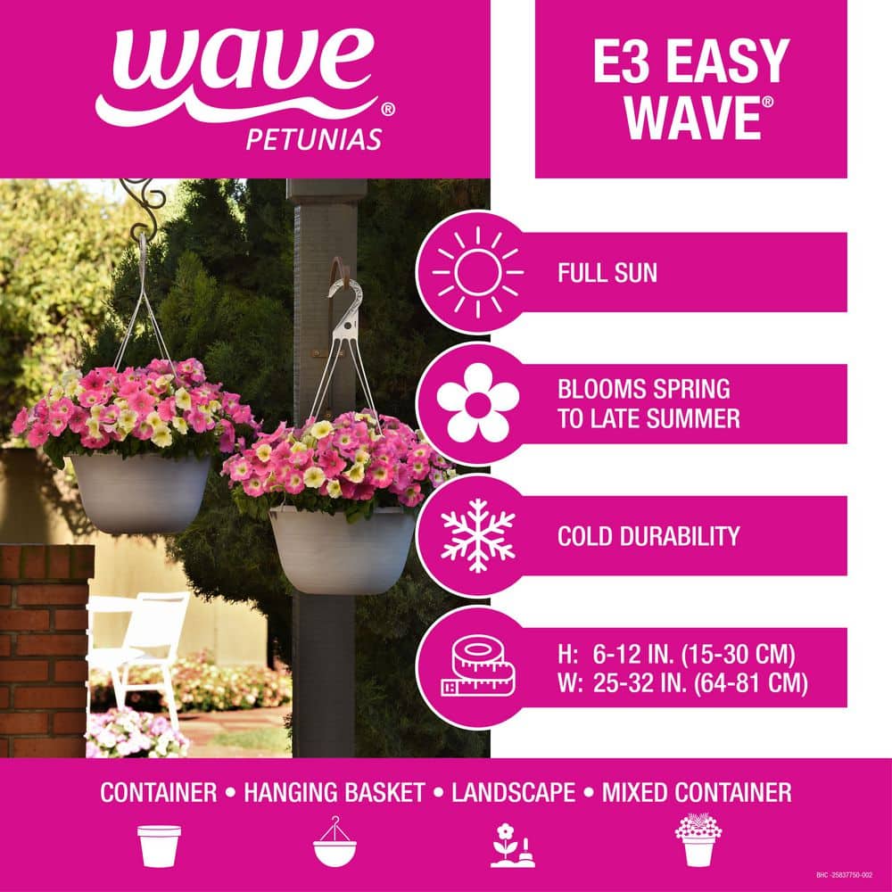 4-Pack White Easy Wave Petunia Annual Plant with White Flowers - Hercitys