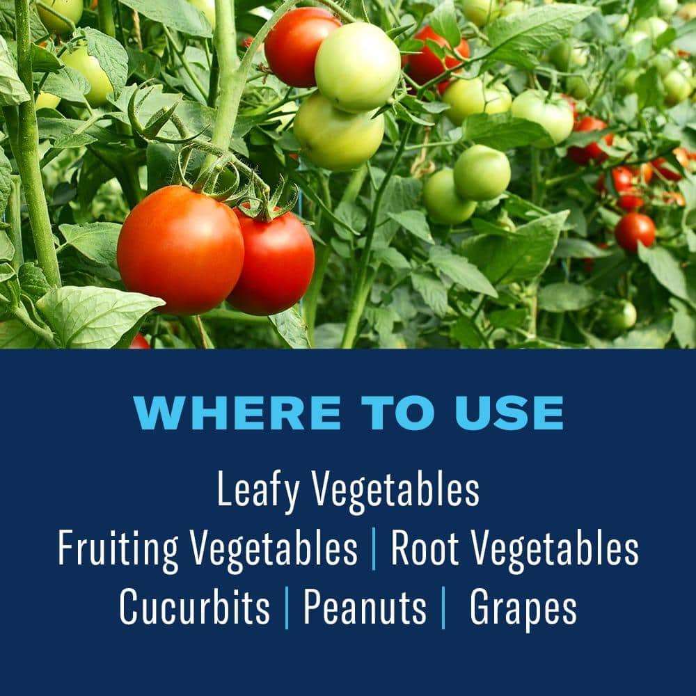 32 oz. Concentrate Vegetable and Garden Insect Killer Spray (2-Pack) - Hercitys