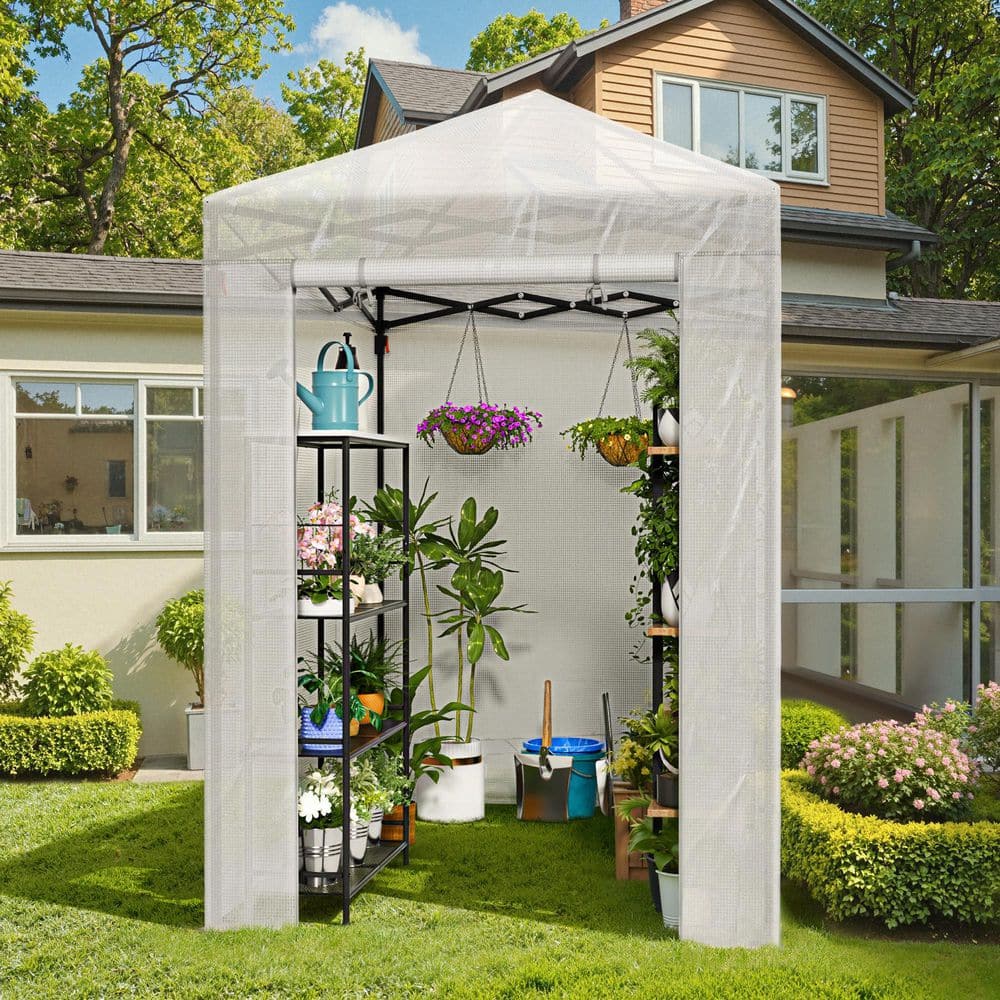 4 ft. W x 6 ft. D Collapsible Metal Walk-In Greenhouse, White - Hercitys
