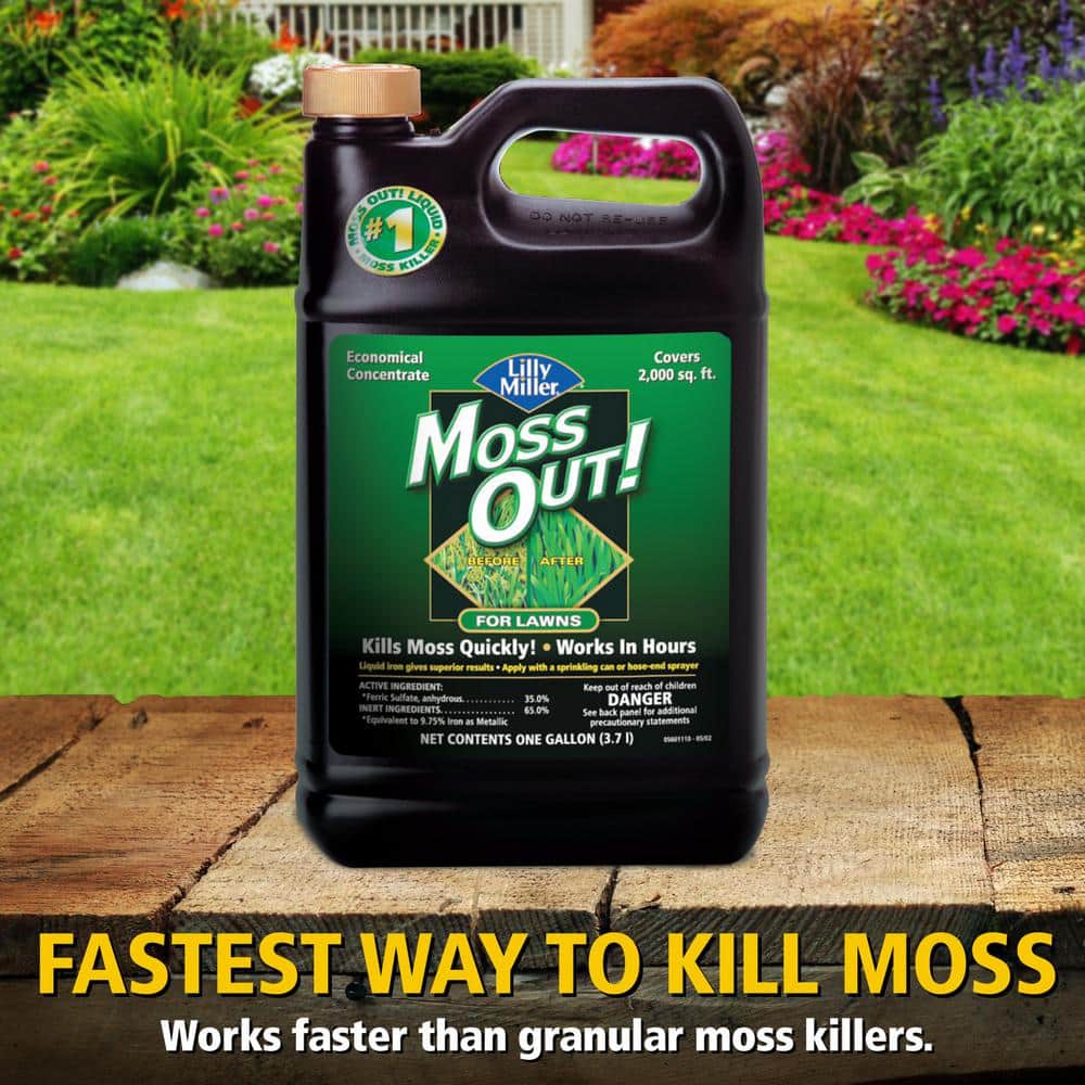 1 gal. 2,000 sq. ft. Lawn Moss Killer Concentrate - Hercitys