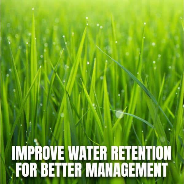 32 oz. Fix and Feed Universal Lawn Food, Ready-to-Spray - Hercitys