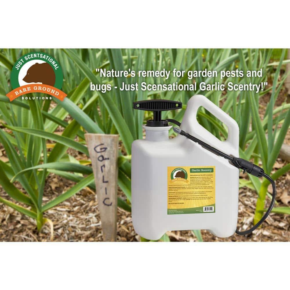 1 Gal. Garlic Scentry Liquid Repellent Pre-Loaded in 1 Gal. Sprayer - Hercitys