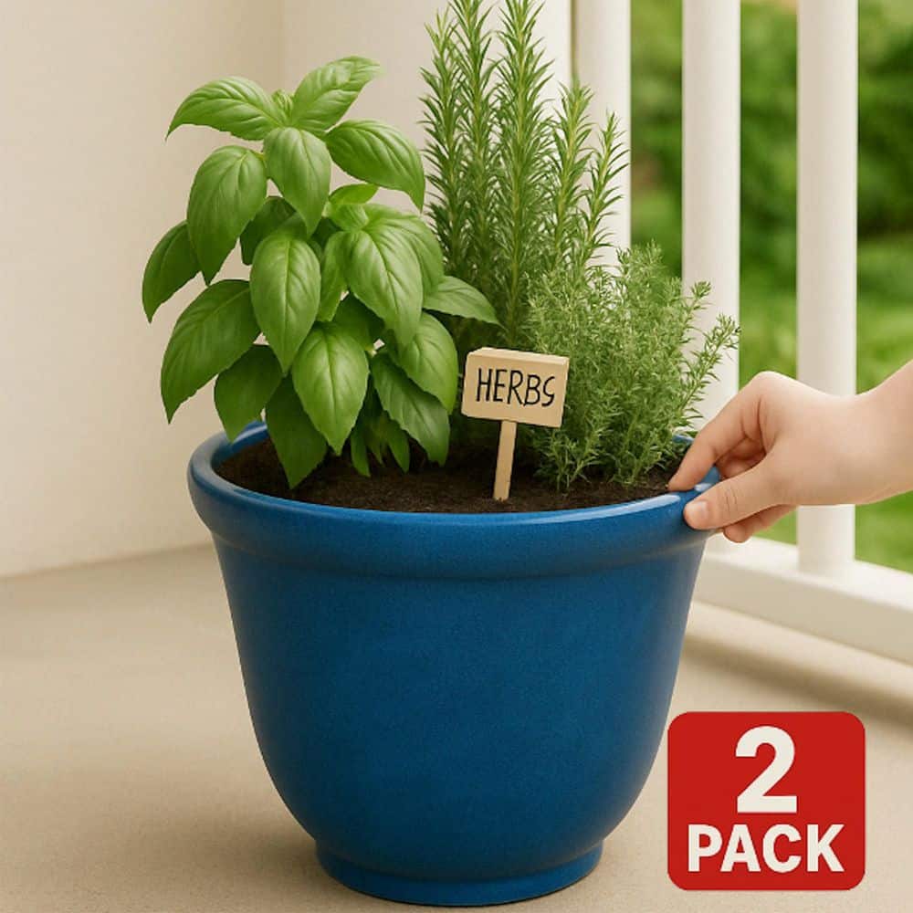 22 in. Dia Blue Resin Round Felicia Planter (2-Pack) - Hercitys