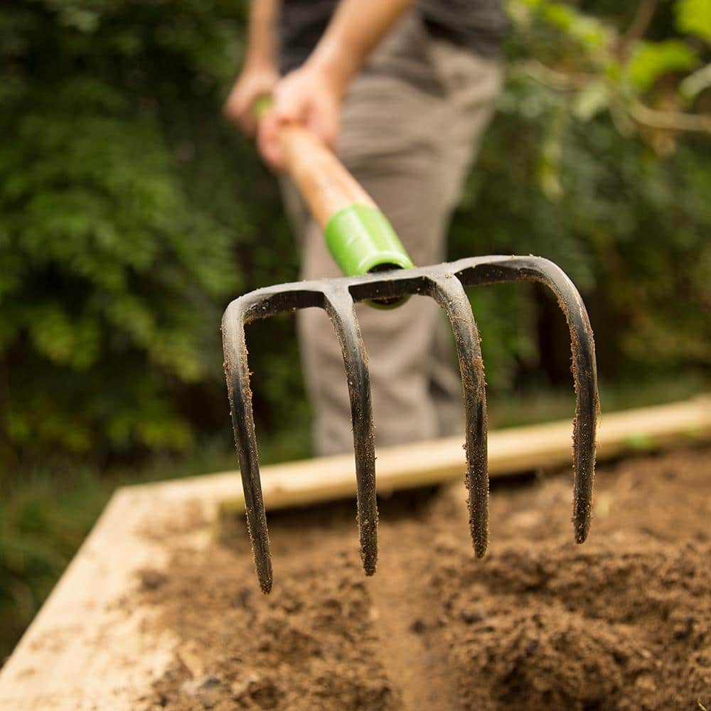 4-Tine Forged Cultivator - Hercitys