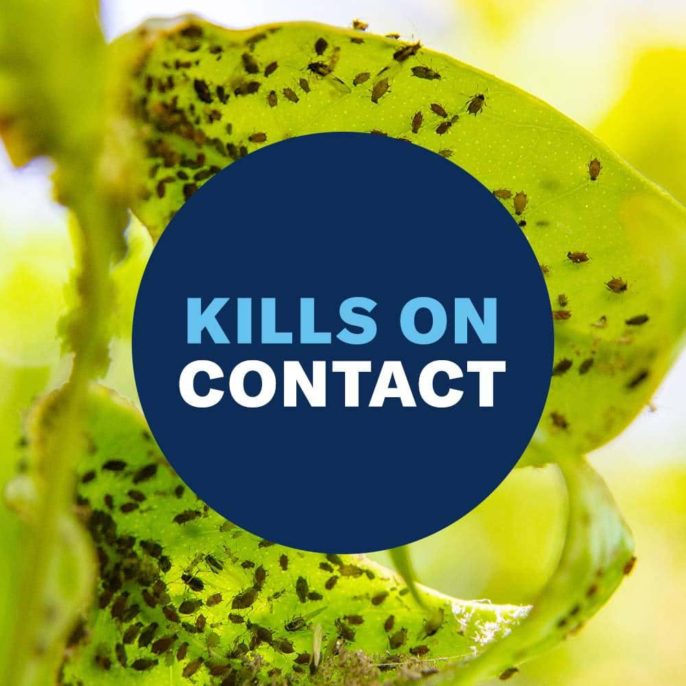 24 oz. Ready to Use Houseplant Insect Killer and Mite Control - Hercitys