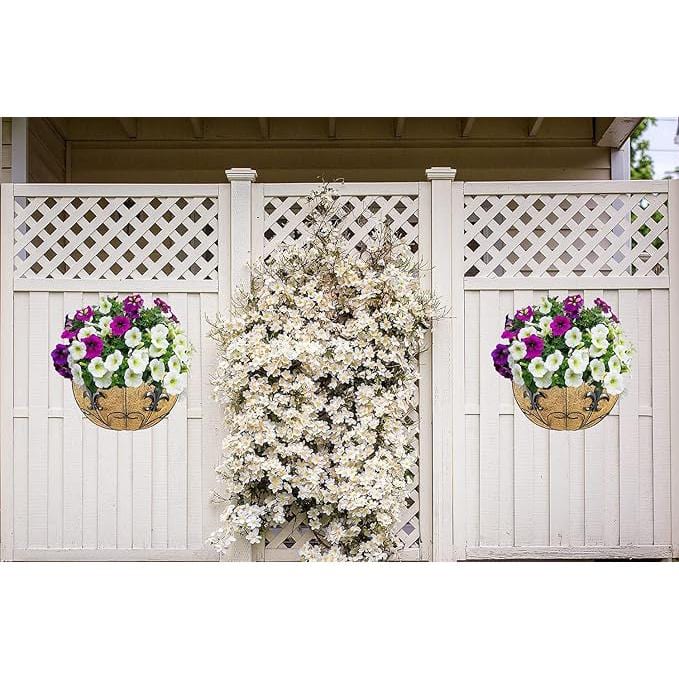 16 in Metal Wall Mount Plant Basket (2-Pack) - Hercitys