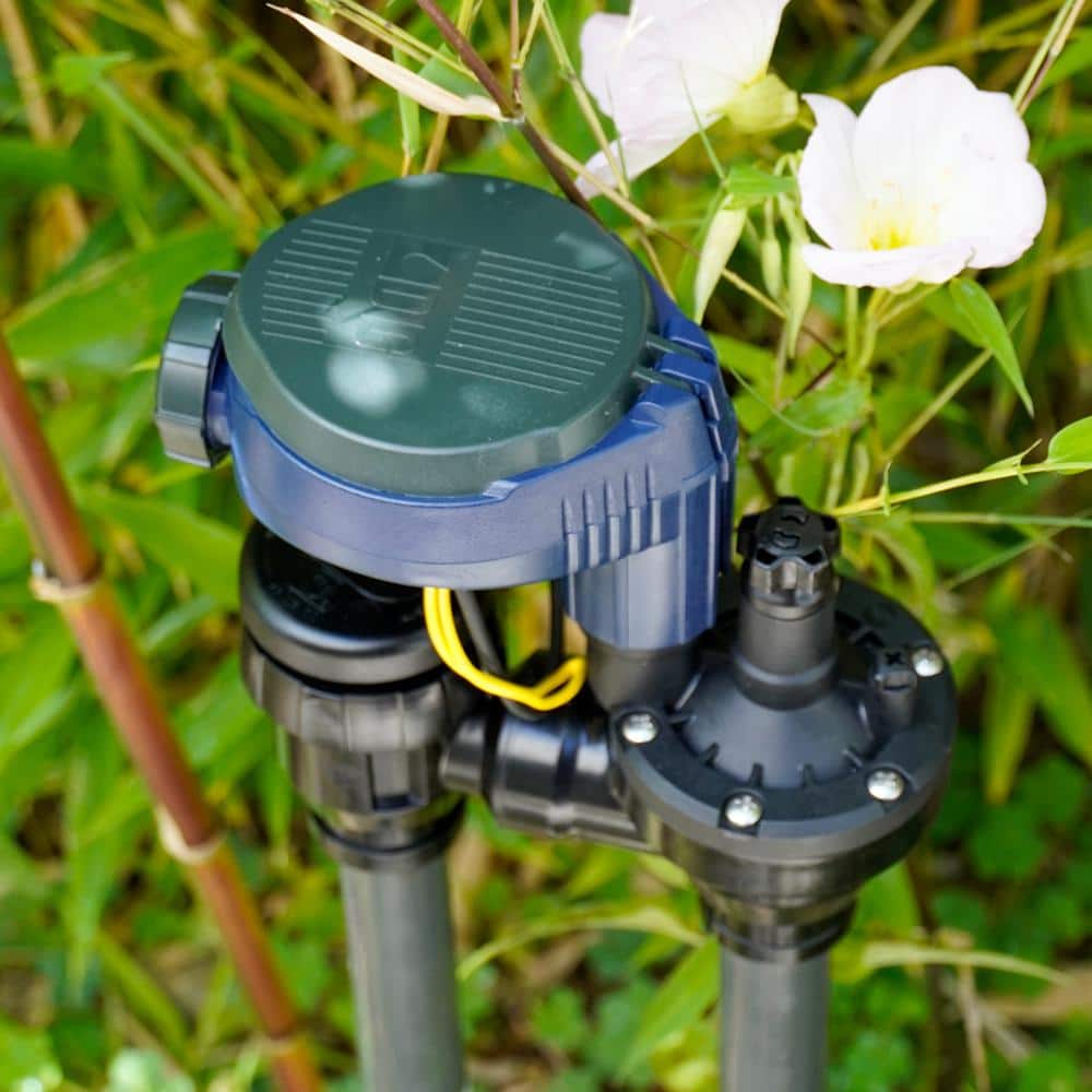 3/4 in. Digital Timer with Anti-Siphon Valve - Hercitys
