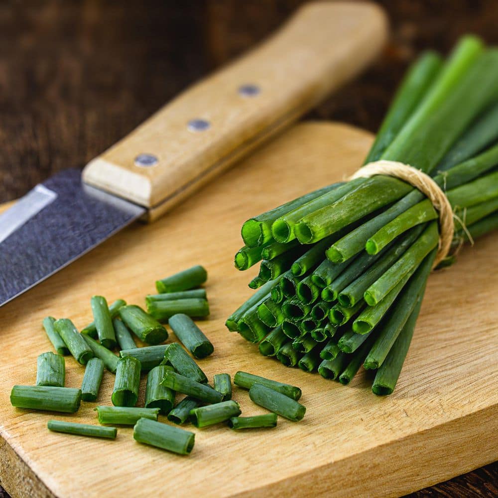 3.3 in. Chives Culinary Kitchen Herb Seed Grow Kit - Hercitys