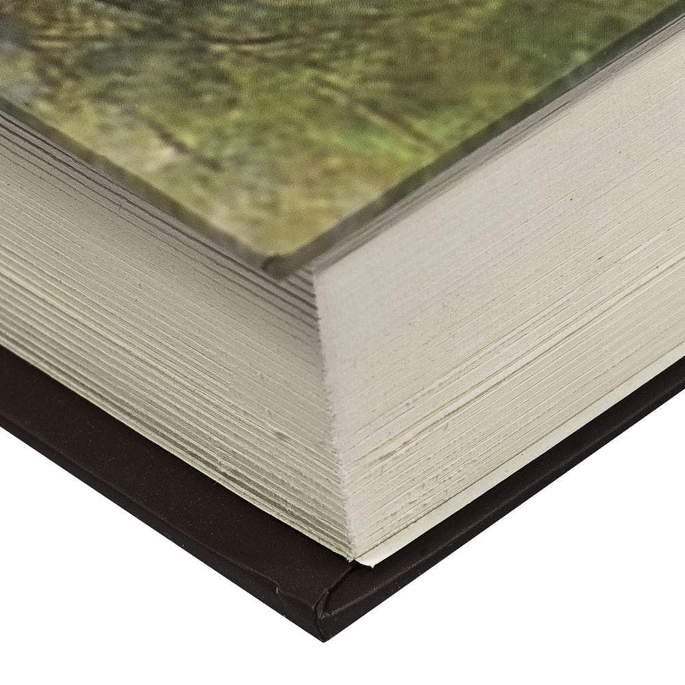 0.02 cu. ft. Steel Real Paper Book Lock Box Safe with Key Lock - Hercitys