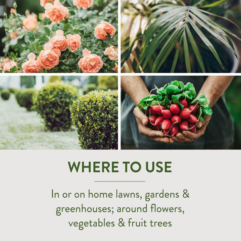 2 lb. Ready-to-Use Slug and Snail Bait Killer - Hercitys