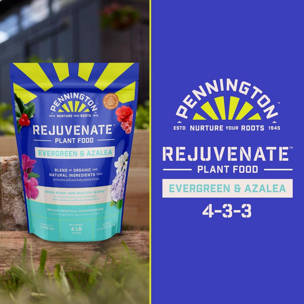 4 lbs. Rejuvenate Evergreen and Azalea Plant Food 4-3-3 - Hercitys