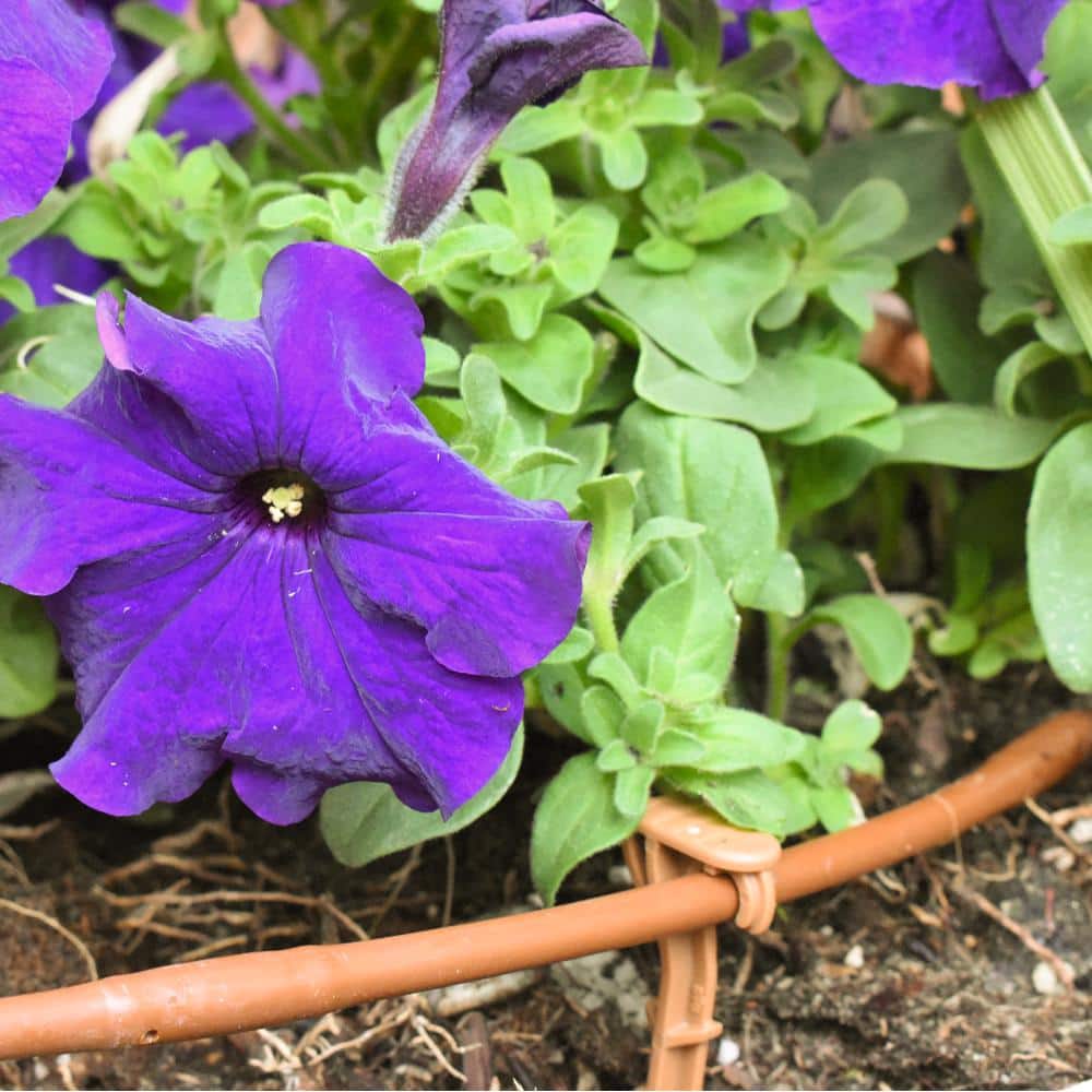 1/4 in. x 100 ft. Dripline with 9 in. Emitter Spacing - Hercitys