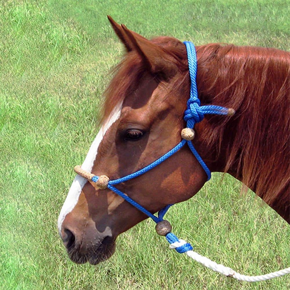 3/8 in. x 600 ft. Polypropylene Multi-Filament Solid Braid Derby Rope, Blue/White - Hercitys