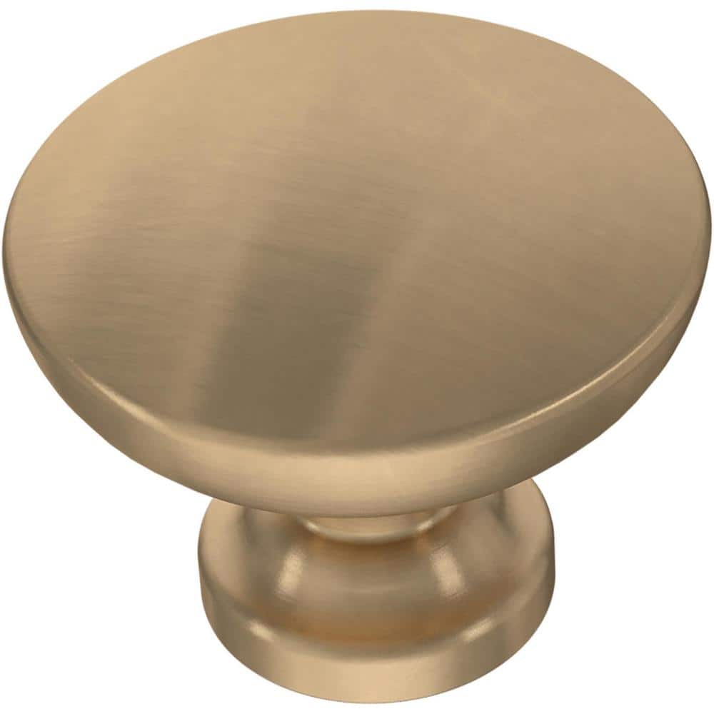 10-Pack Flat Round 1-3/16 in. (30 mm) Modern Champagne Bronze Cabinet Knobs - Hercitys