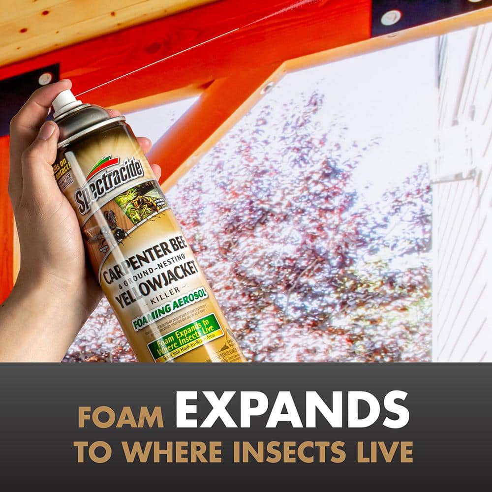 16 oz. Aerosol Carpenter Bee and Ground-Nesting Yellow Jacket Insect Killer Foam (4-Pack) - Hercitys