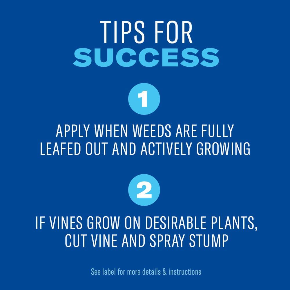 32 oz. Brush Killer Plus Quart Concentrate - Hercitys