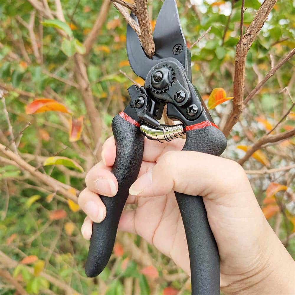 3/4 in. Cutting Capacity, High Carbon Steel Professional Pruning Shears - Hercitys