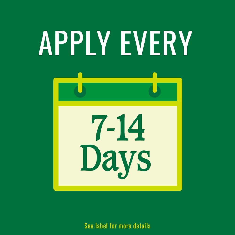 24 oz. Ready-to-Use Insecticidal Soap Insect Killer (2-Pack) - Hercitys