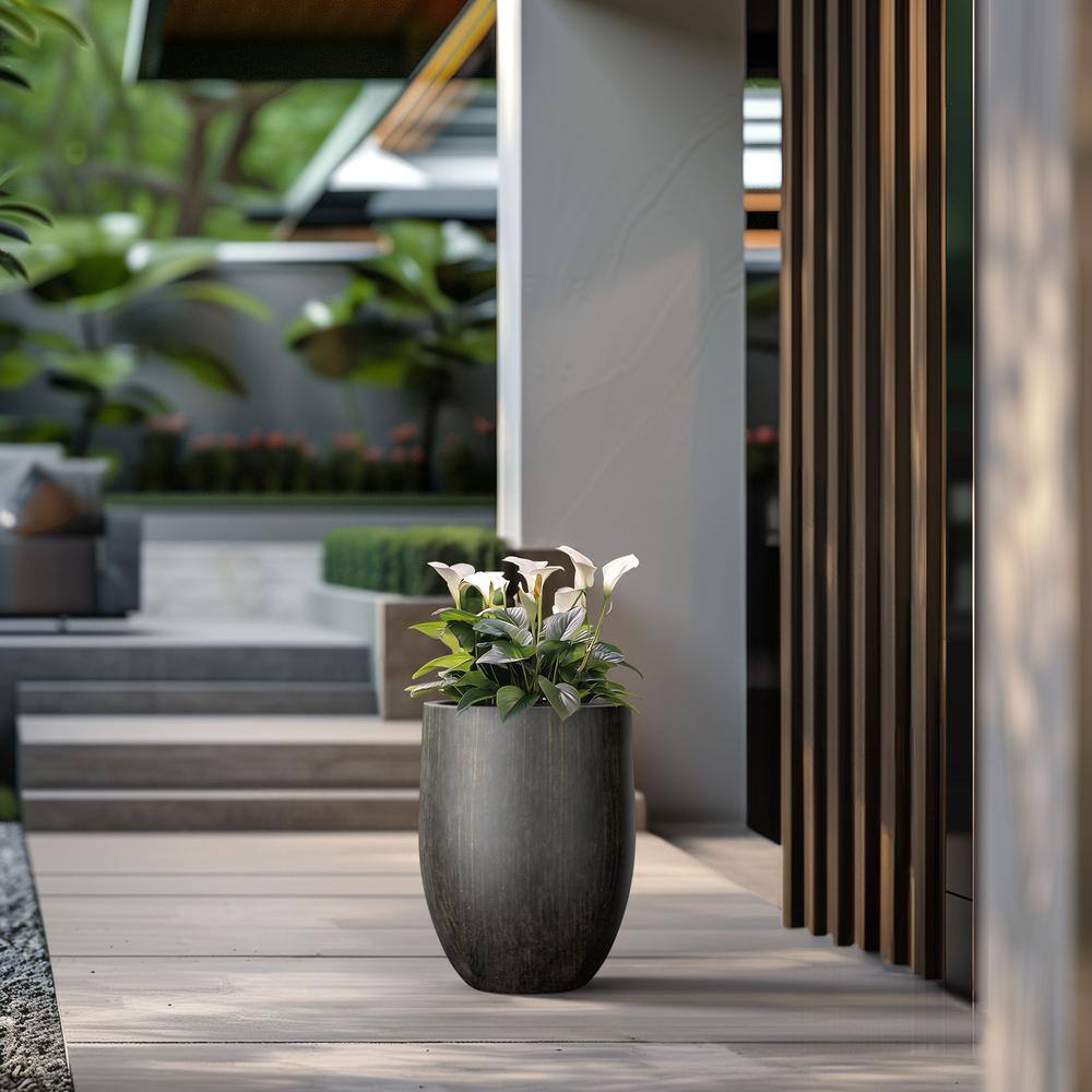 17 in. Large Bronzed Black Concrete Round planter / Pot with drainage holes - Hercitys