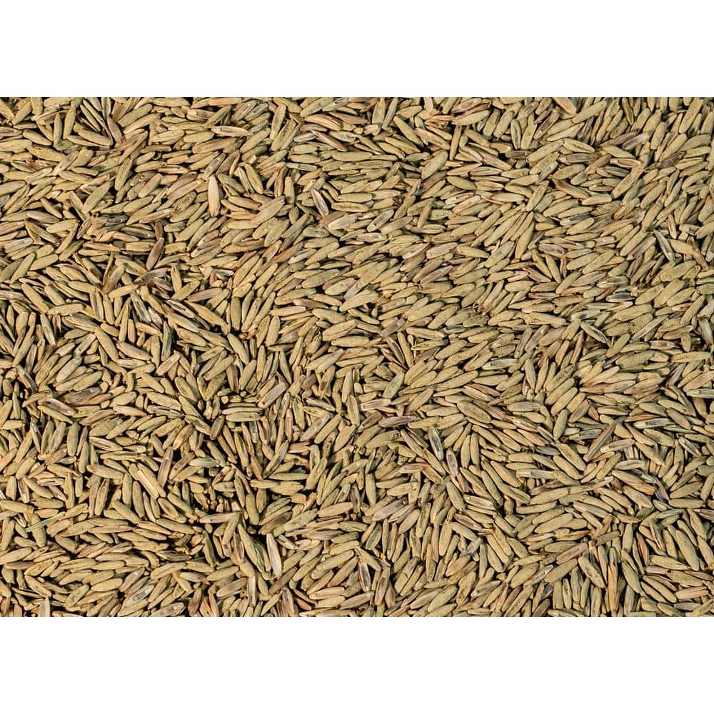 25 lbs. Perennial Ryegrass Lawn Seed - Hercitys