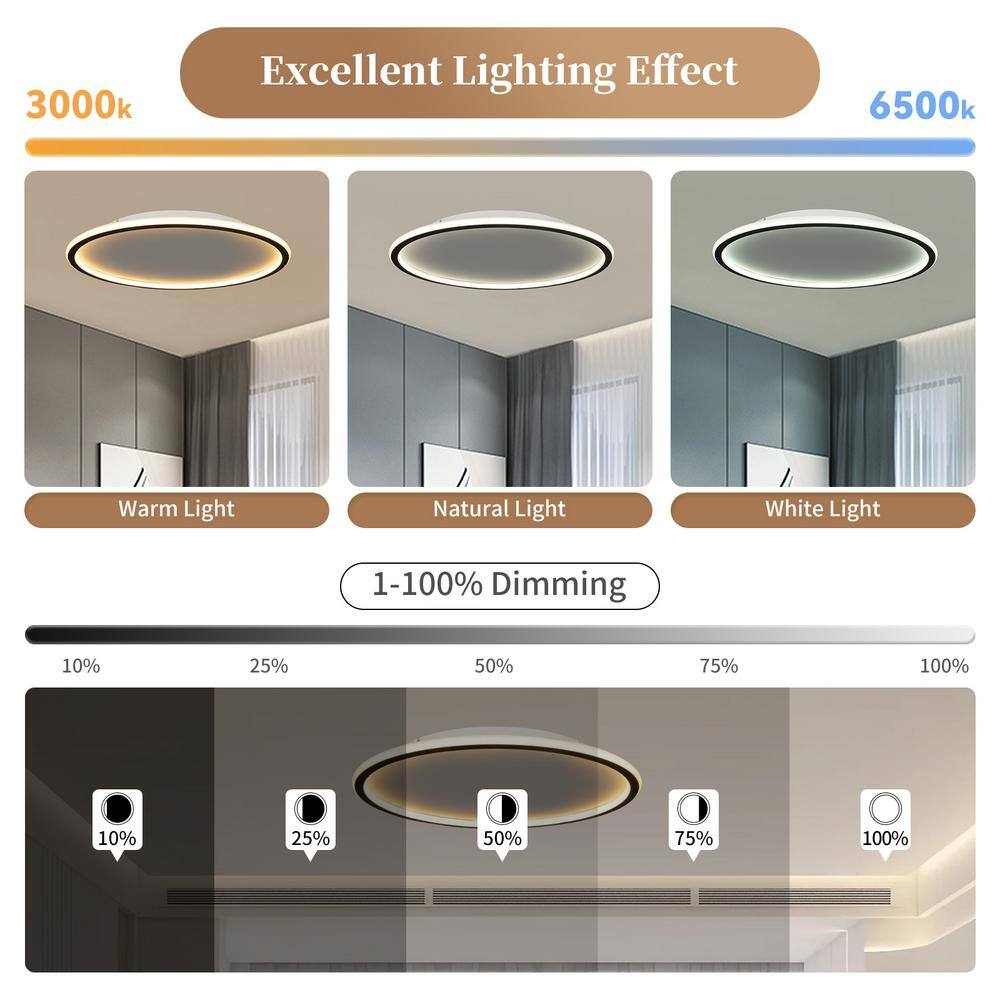 20 in. 1-Light Modern Simple Geometry Black LED Flush Mount Ceiling Light - Hercitys
