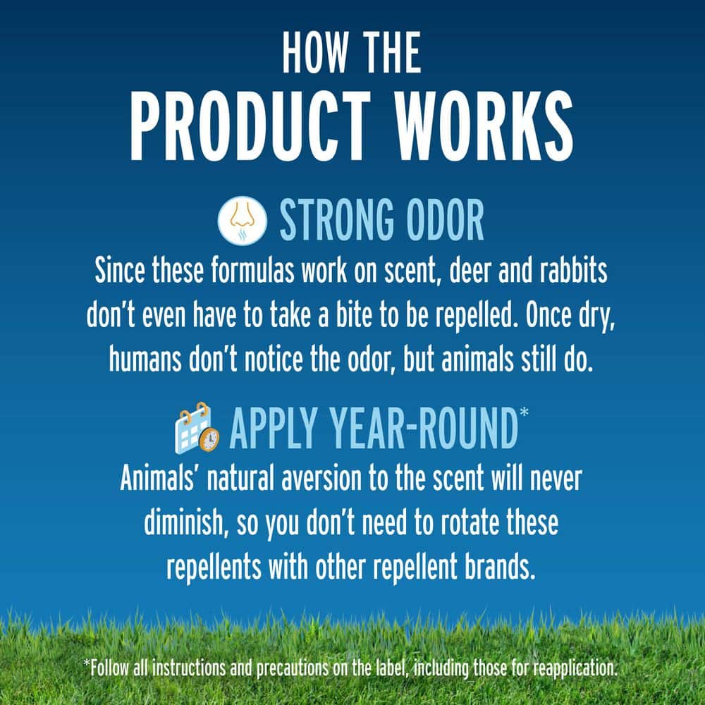 40 Oz. Deer And Rabbit Repellent Concentrate - Hercitys