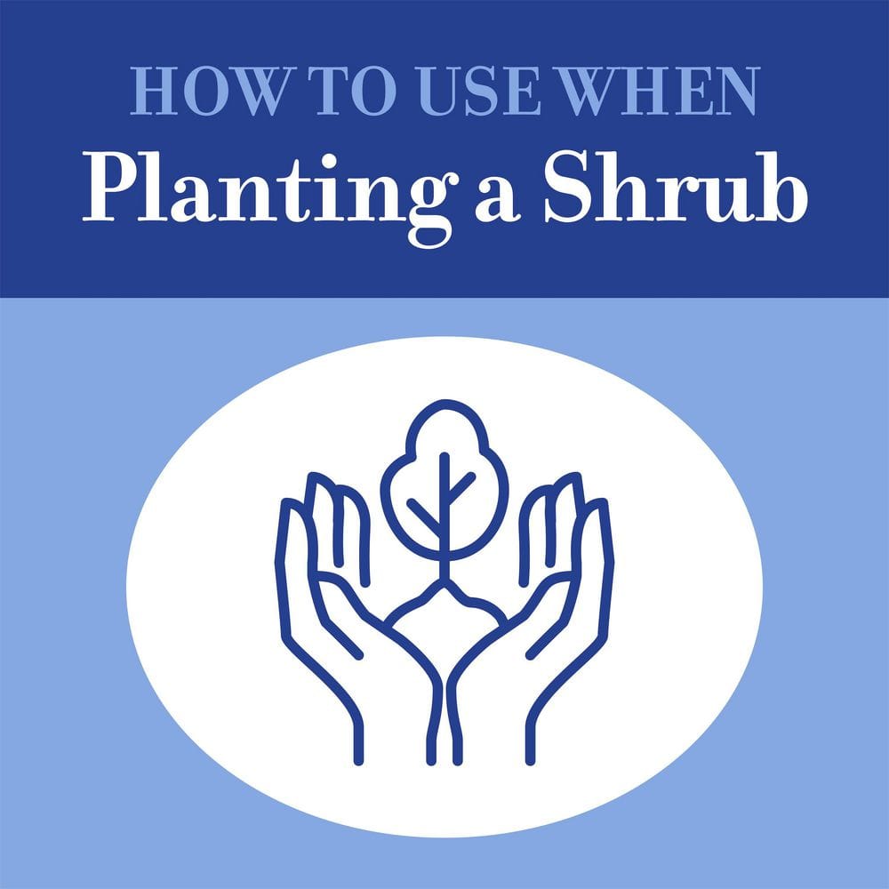 16 lbs. Evergreen, Azalea and Rhododendron Fertilizer 10-5-4 - Hercitys