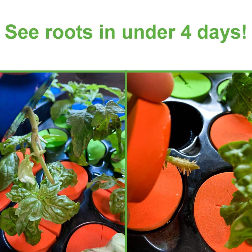 10 oz. Micro Charge/50g Per Pack (3-Pack) - Hercitys