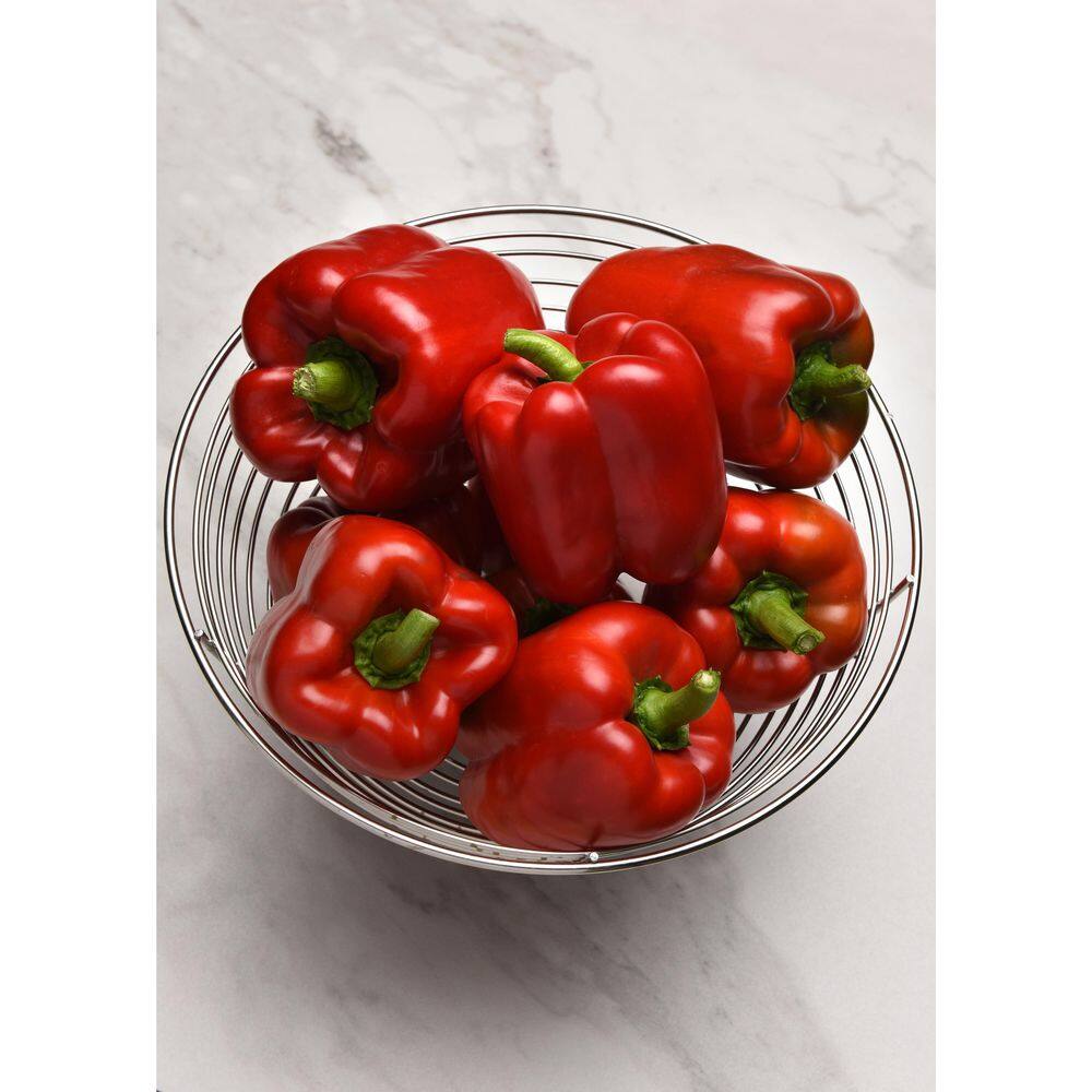 2 qt. Pepper Red Standard Green Edible Plant (3-Pack) - Hercitys