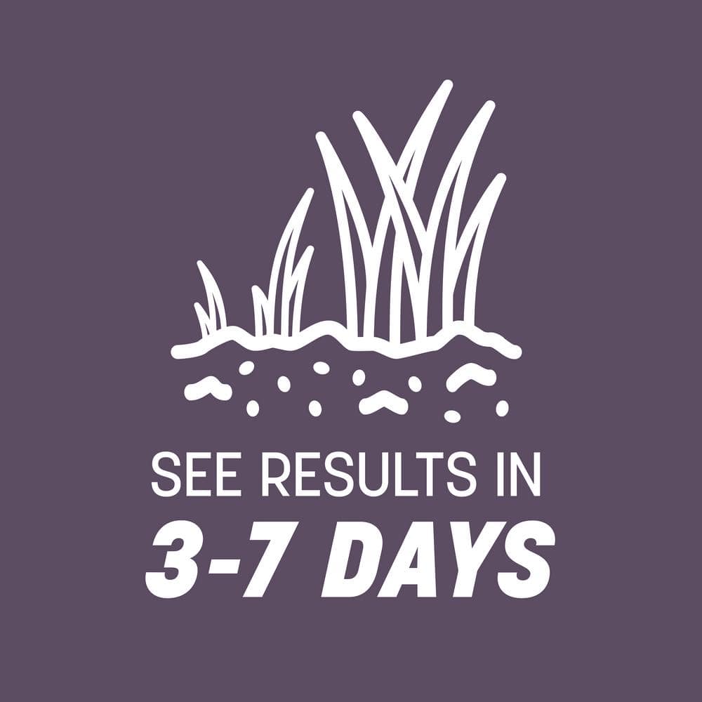 50 lbs. Annual Ryegrass Grass Seed (2-Pack) - Hercitys