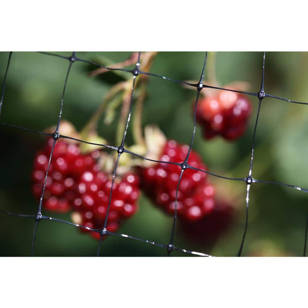 14 ft. x 45 ft. Netting and 5/8 in. Polypropylene Mesh - Hercitys