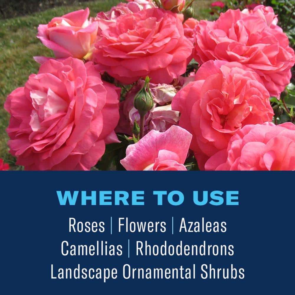 4 lbs. Granules Shrub Care Protect and Feed - Hercitys