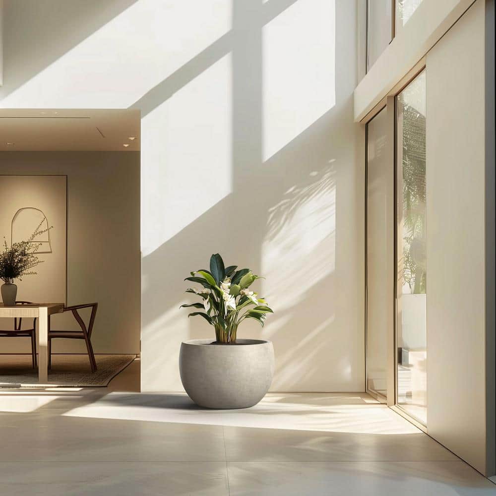 19 in. Large Light Gray Concrete Round  Planter / Pot with Drainage Holes - Hercitys