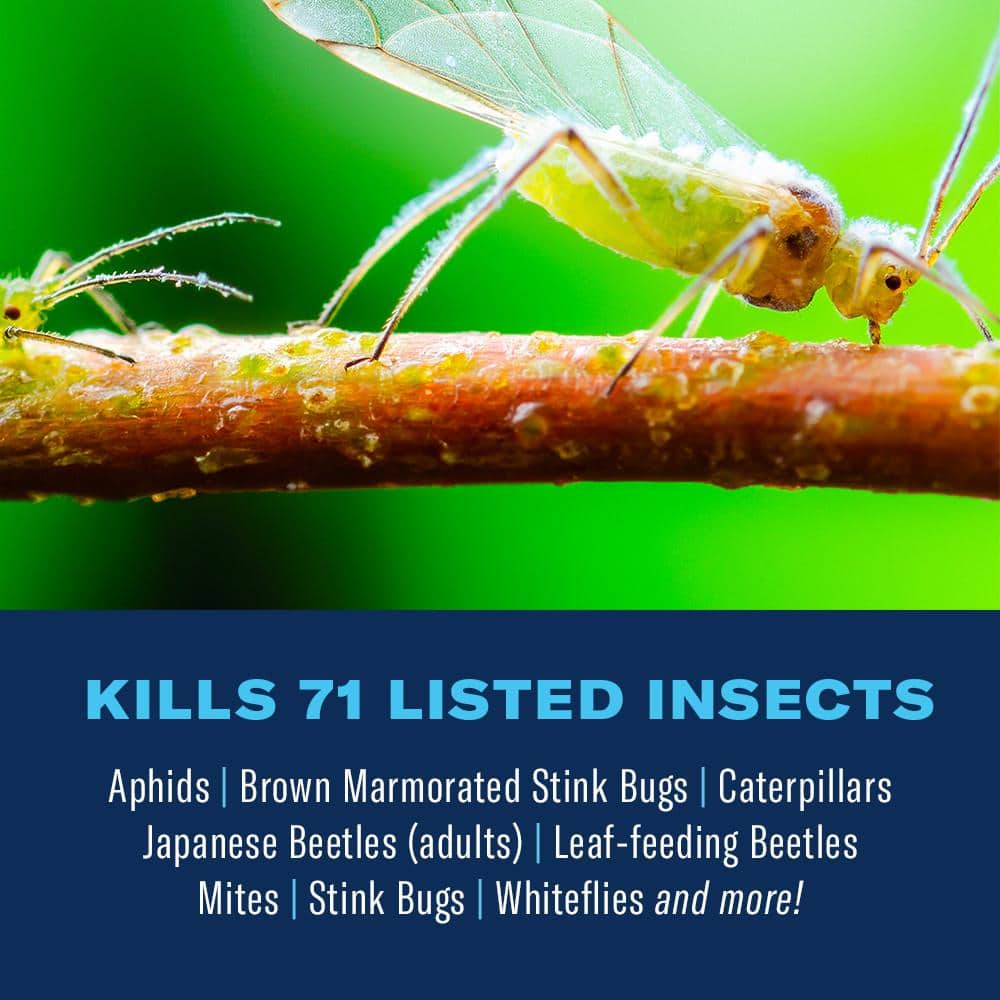 32 oz. Ready-To-Spray Complete Insect Killer for Soil and Turf (2-Pack) - Hercitys