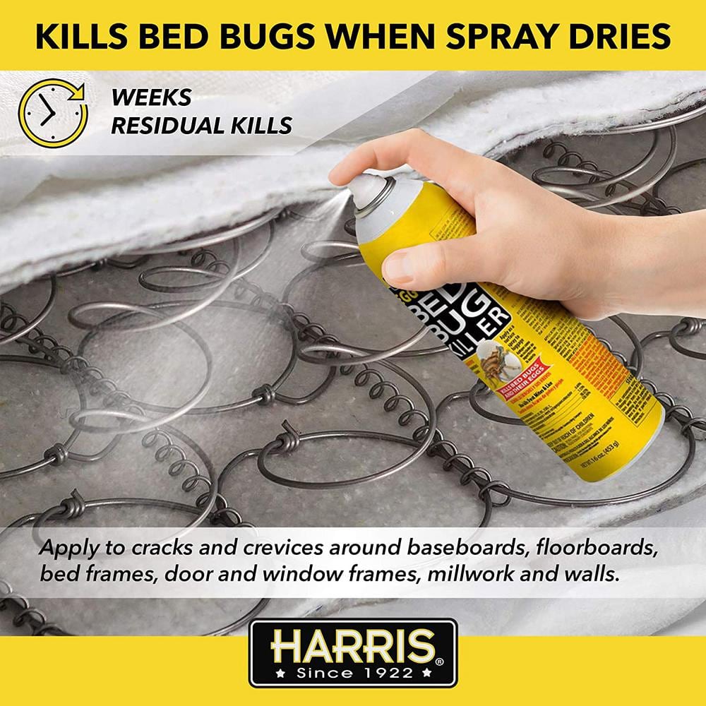 16 oz. Egg Kill Bed Bug Killer (3-Pack) - Hercitys