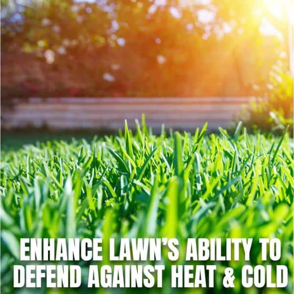 32 oz. Fix and Feed Universal Lawn Food, Ready-to-Spray - Hercitys