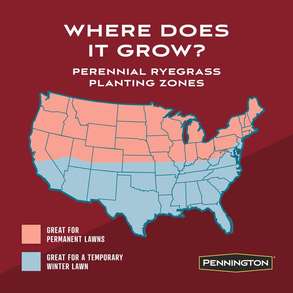 30 lbs. Winter Lawn 3-in-1 Perennial Ryegrass with Mulch and Fertilizer - Hercitys