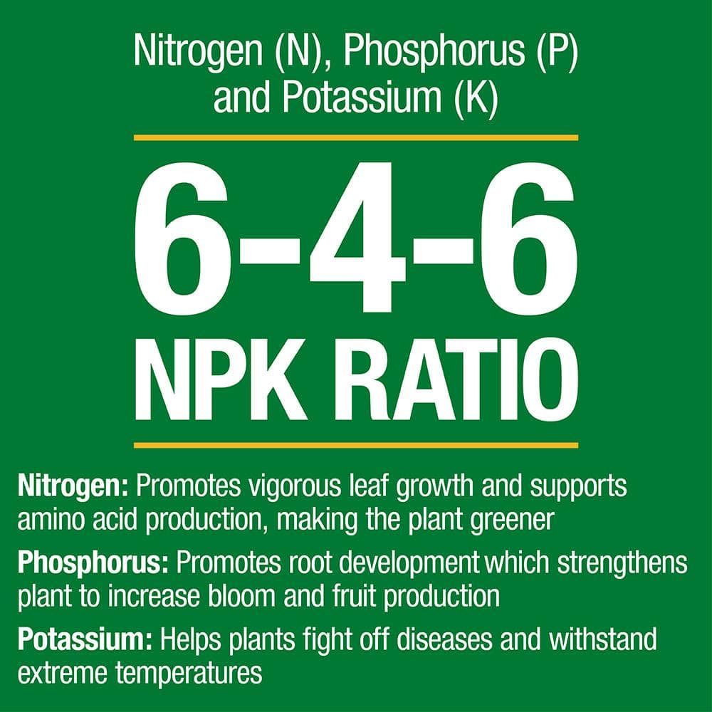 3.5 lb. All Season Citrus and Avocado Plant Food (6-4-6) - Hercitys