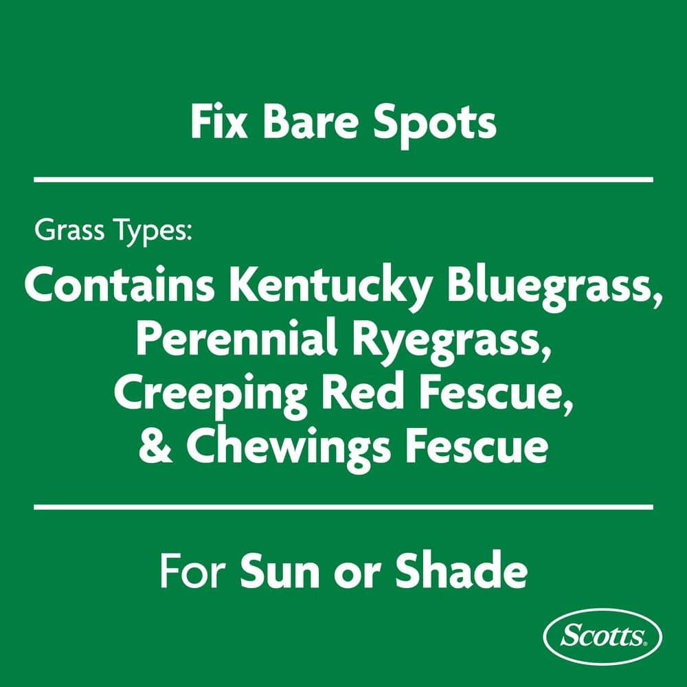 3.75 lb. EZ Seed Patch & Repair Sun and Shade Mulch, Grass Seed and Fertilizer Combination - Hercitys