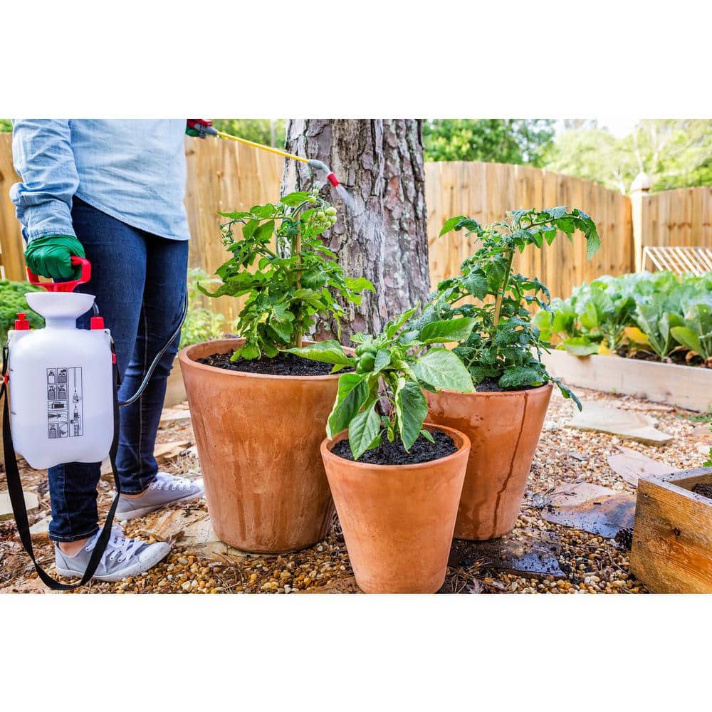 16 oz. Concentrate Fungicide - Hercitys