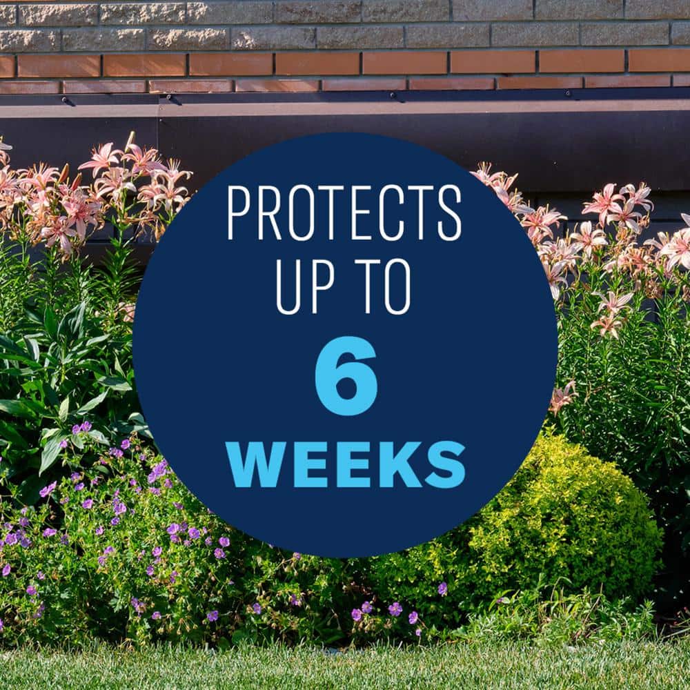 4 lbs. Granules Shrub Care Protect and Feed - Hercitys