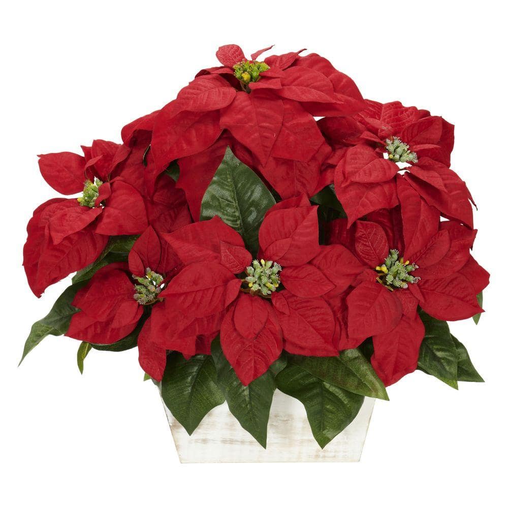 16.5in. H Red Poinsettia with White Wash Planter Silk Arrangement - Hercitys