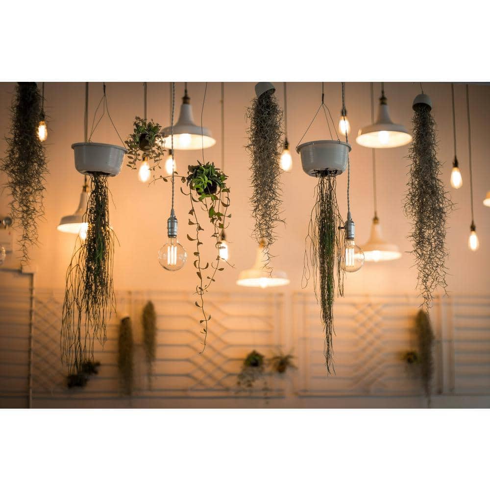 120-Volt 6.31 in. Electronic Ballast 2 Lamps FC8T9/T5 and FC12T9/T5 - Hercitys